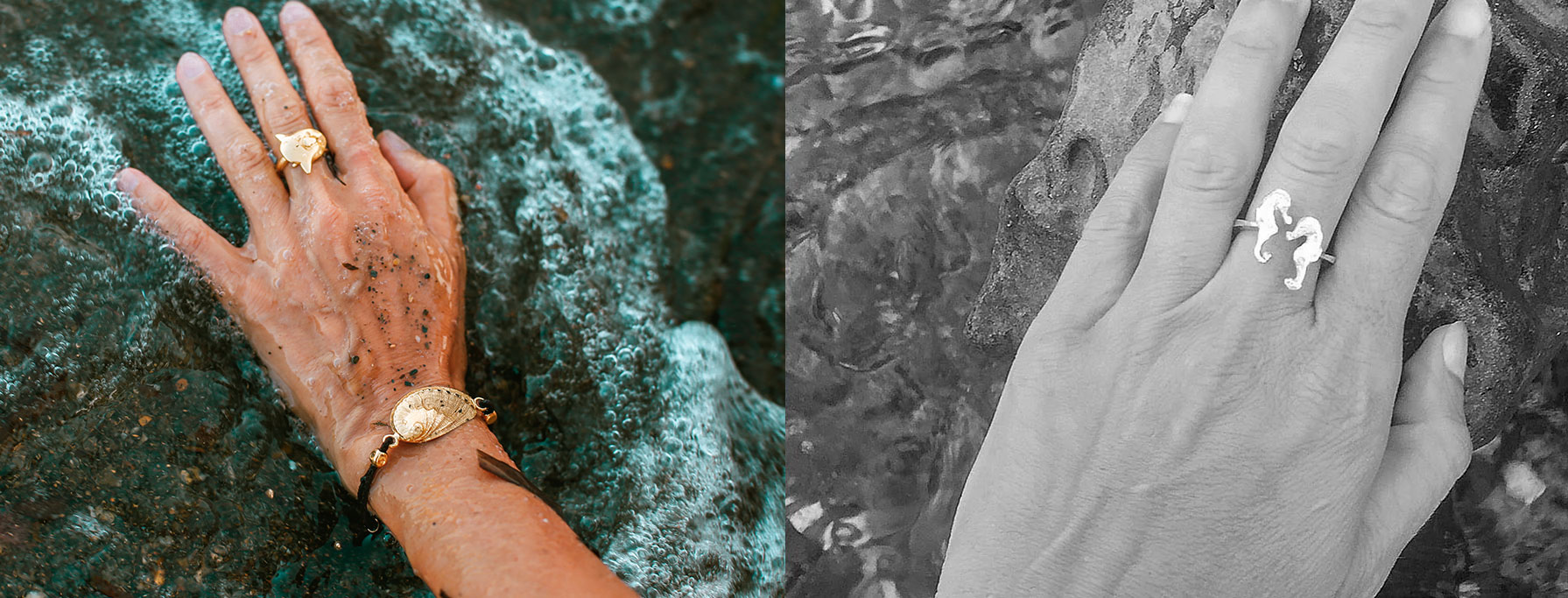 head-anillos-seccion