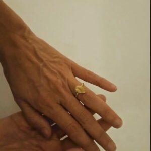 Anillo Oreja de mar oro