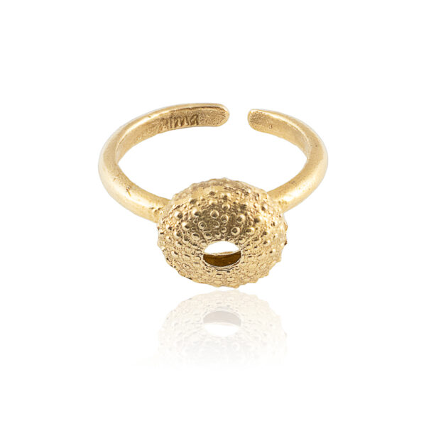 Anillo Erizo Oro