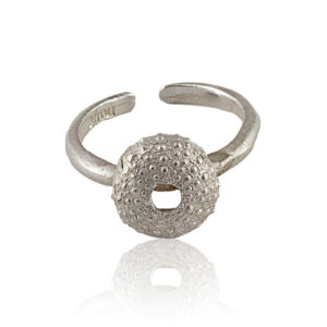 Anillo Erizo Plata