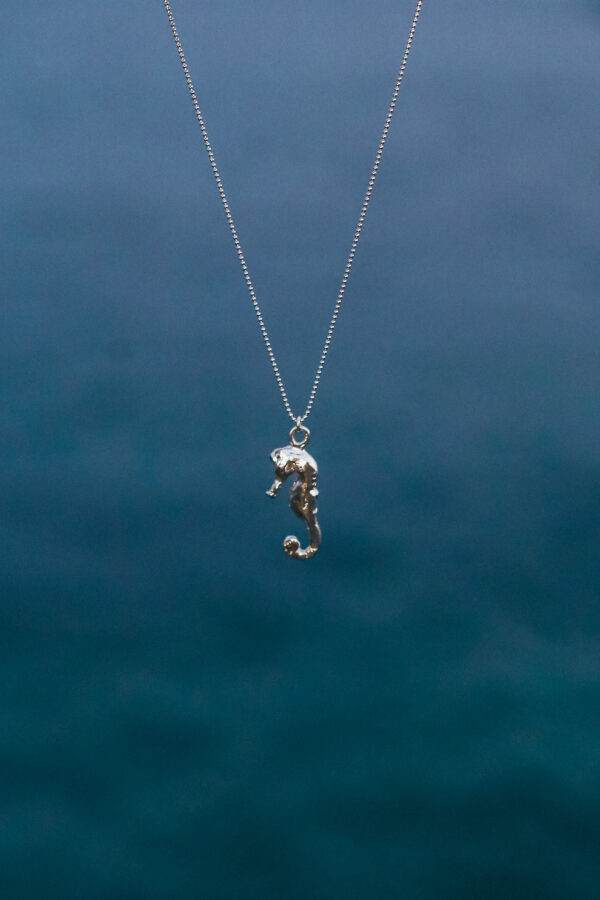 Colgante Caballito De Mar Grande Plata