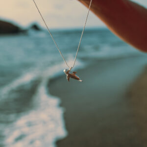 Colgante Calderón Plata