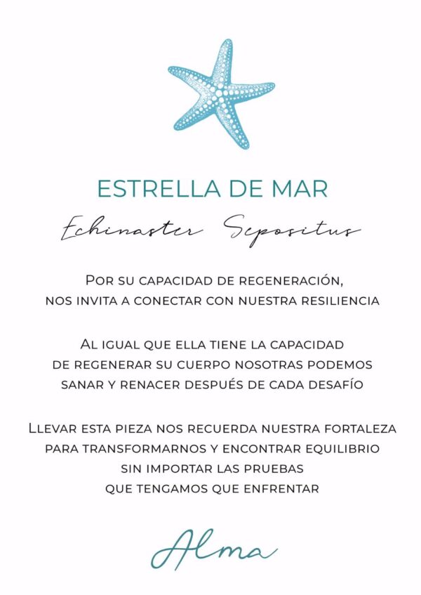 Colgante Estrella Pequeña Plata