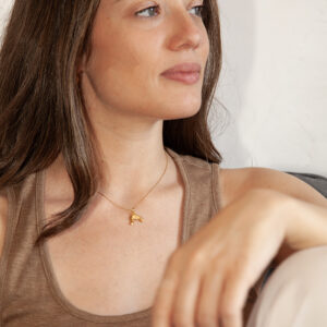 Colgante Langostino Oro