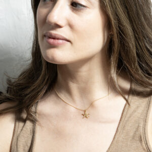 Colgante Estrella Pequeña Oro